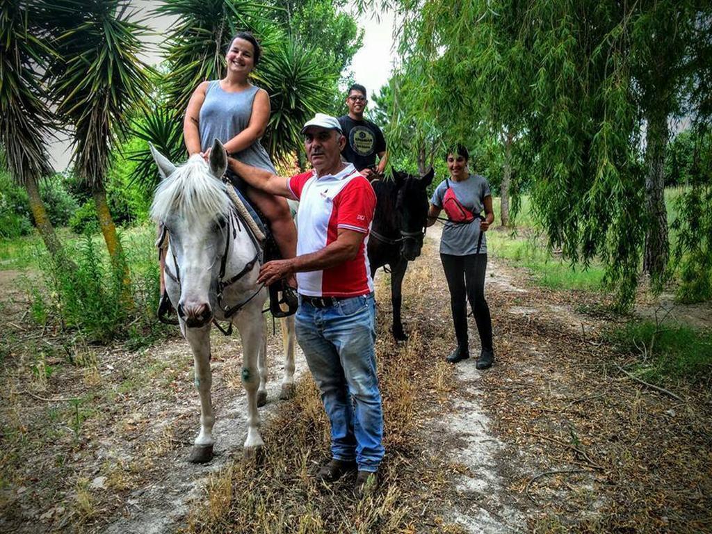 Masseria Mazzetta Salento Corte Del Falconiere B&B Salice Salentino Ngoại thất bức ảnh